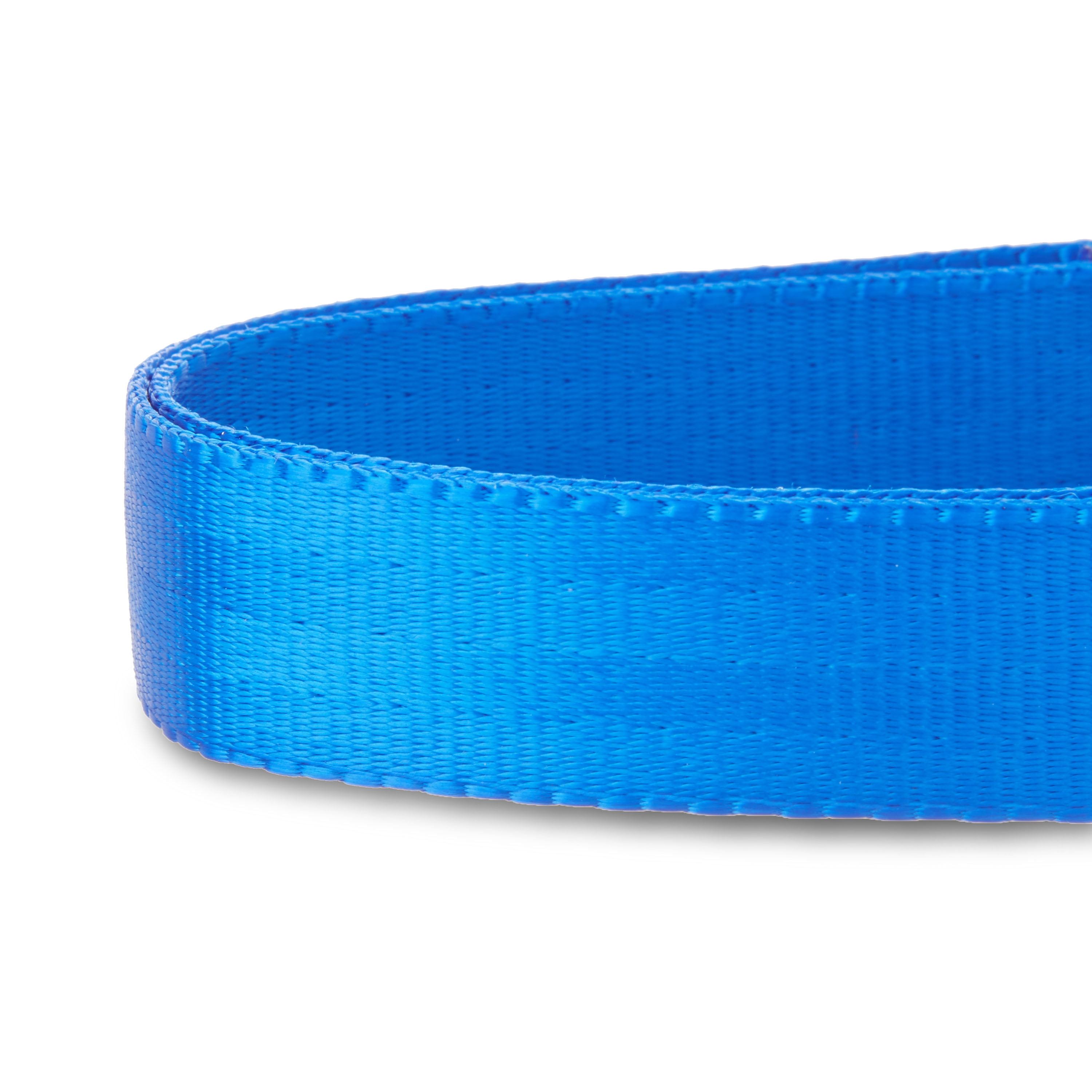 Vibrant Life Nylon Fashion Dog Collar, Blue, L