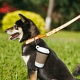 thumbnail image 1 of Pet Supplies Cat and Dog Poop Bag Dispenser Holder with Carabiner Clip Outdoor Travel Organizer for Leash Use Lightweight TPR Material Compatible with All Bags, 1 of 3