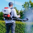 thumbnail image 2 of Tomahawk Power 4 Gal Battery Powered Backpack Mosquito Fogger and 36V Leaf Blower for Pest Control, 2 of 7