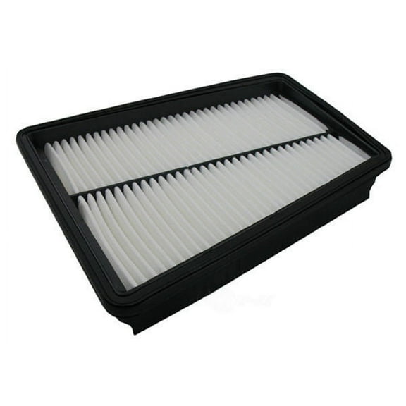 Pentius PAB10661 High-Quality Engine Air Filter Replacement filter for 2009-2016 Hyundai Genesis