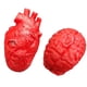 thumbnail image 1 of Accesorios para Trucos de Halloween, Piezas Corporales, Decoraciones de Simulación para Fiestas de Terror, Juguetes para Trucos de Halloween, Corazón Falso, Cerebro Falso., 1 of 5