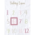 thumbnail image 3 of Gerber Baby Girl Milestone Blanket & Frame Set, 2-Piece, White Safari, 3 of 7