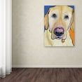 thumbnail image 3 of Trademark Fine Art "Spenser" Canvas Art by Pat Saunders-White, 3 of 3
