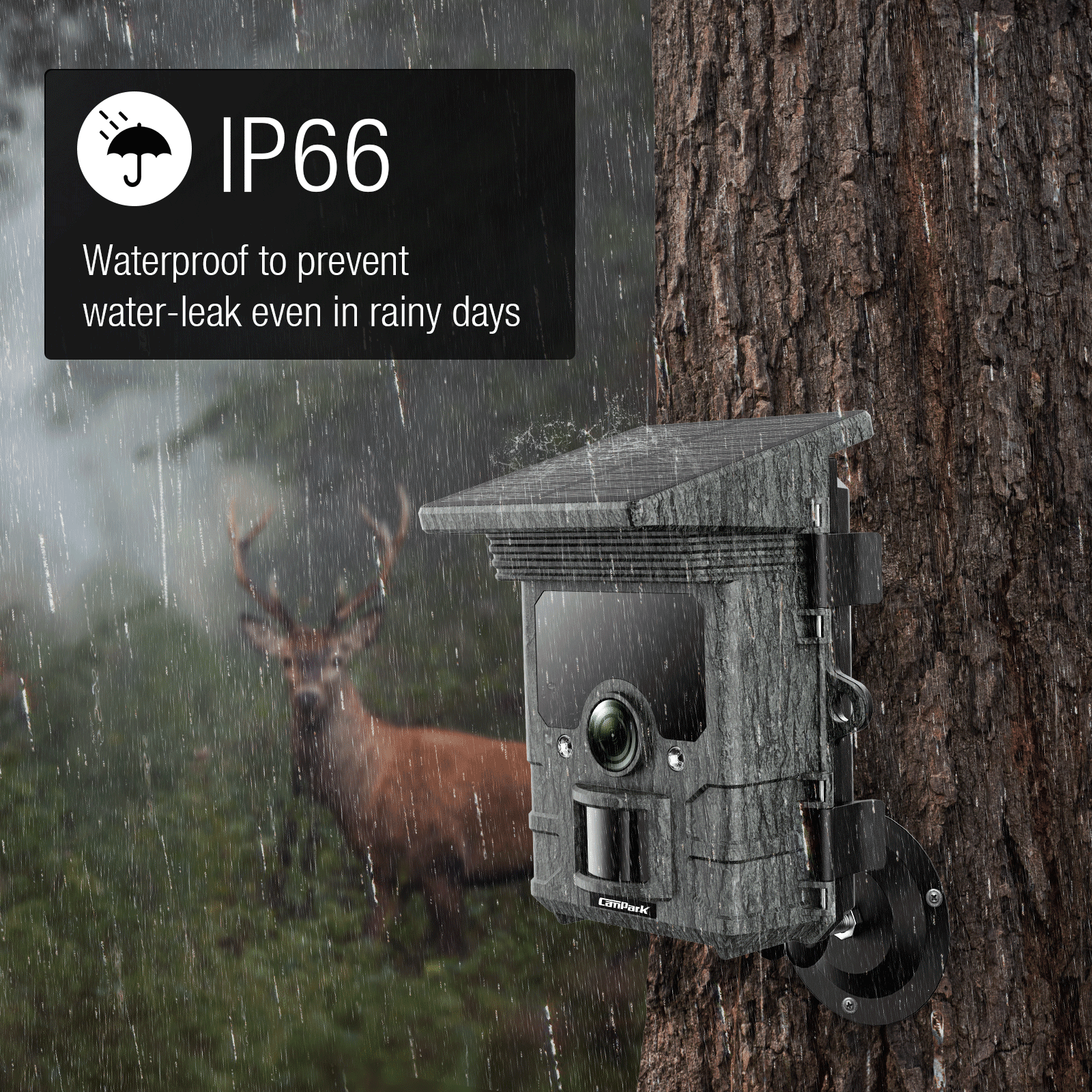 CAMPARK Solar Trail Camera WiFi Bluetooth Native 4K 30fps 46MP Game Camera with 4400mAh Night Vision Fast 0.1s Trigger Motion Activated IP66 Waterproof Hunting Trail Cam for Wildlife Monitoring