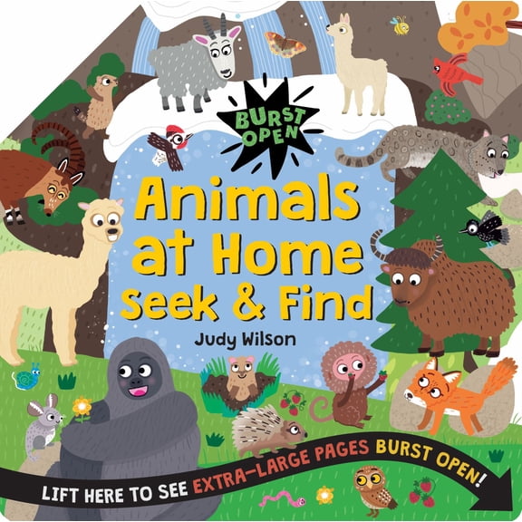 Animals at Home Seek and Find (Hardcover)