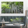 thumbnail image 1 of Forêt de Bambou Dense du Japon - Impression d'Art Mural sur Toile de Forêt, 1 of 3
