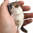 thumbnail image 3 of Wool Felting Kit, Beginner Friendly Needle Felting Cats Craft Bag, Handmade Material Set for DIY Animal Couples Gift Making, 3 of 6