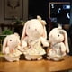 thumbnail image 2 of Cute Pastoral Style Rabbit Plush Toy / Bunny Doll with Flower Skirt and Bowknot / Pillow / Girl's Birthday GiftA40cm Deng Xun unisex, 2 of 2