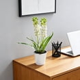 thumbnail image 1 of Hyacinth Bonsai Plastic Potted Plants Simulated Silk Flower Lifelike Home Decoration Suitable For Desktop Office And Wedding Centerpiece Decoration, 1 of 6