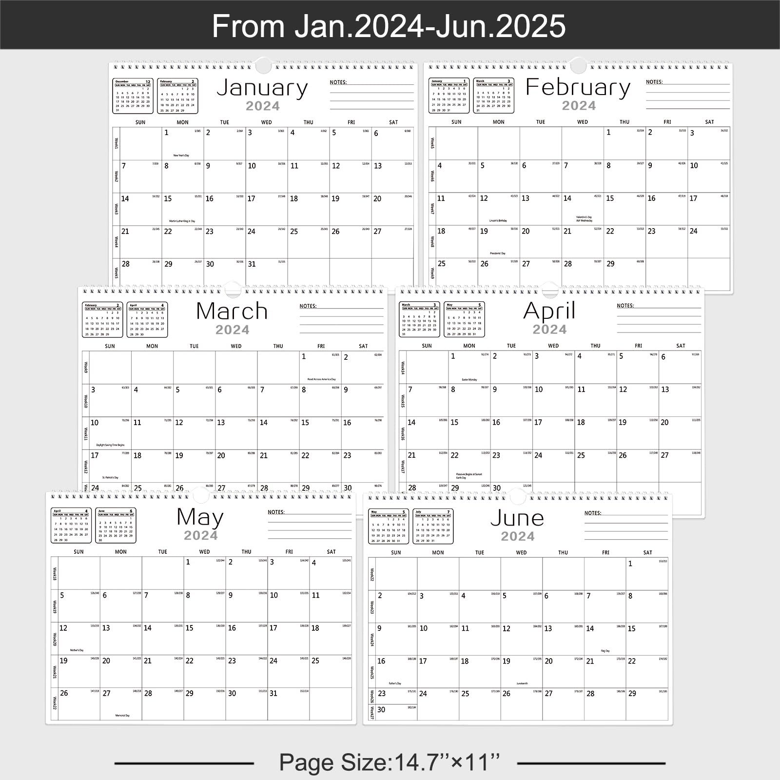 BHR Wall Calendar Calendar 20242025 from January 2024 to June 2025 18