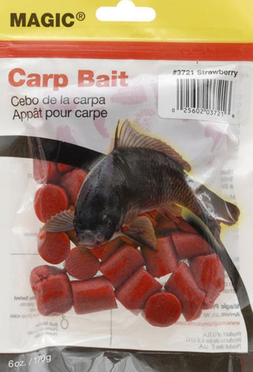 carp bait