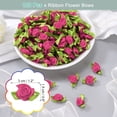 thumbnail image 2 of Uxcell 100 Pcs Mini Lazos de Rosas de Cinta para Manualidades, Adorno Artificial de 15mm/0.6" de Diámetro para Decoración de Bodas, Cumpleaños y Festivales, Púrpura Oscuro, 2 of 7
