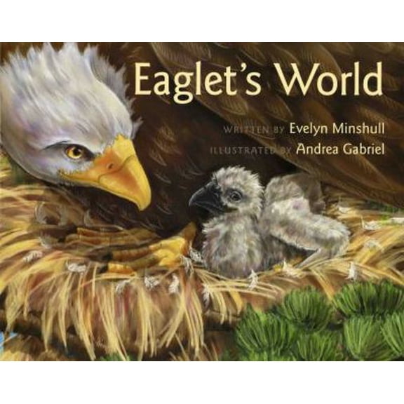 Pre-Owned Eaglet's World (Paperback) 0807517607 9780807517604