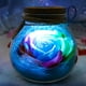 thumbnail image 4 of Botella de deseos Control remoto Flor rosa Luz de noche LED Bombilla romántica Lámpara de atenuación RGB Regalo de cumpleaños del día de San Valentín Advancent JJ17958-02B, 4 of 7