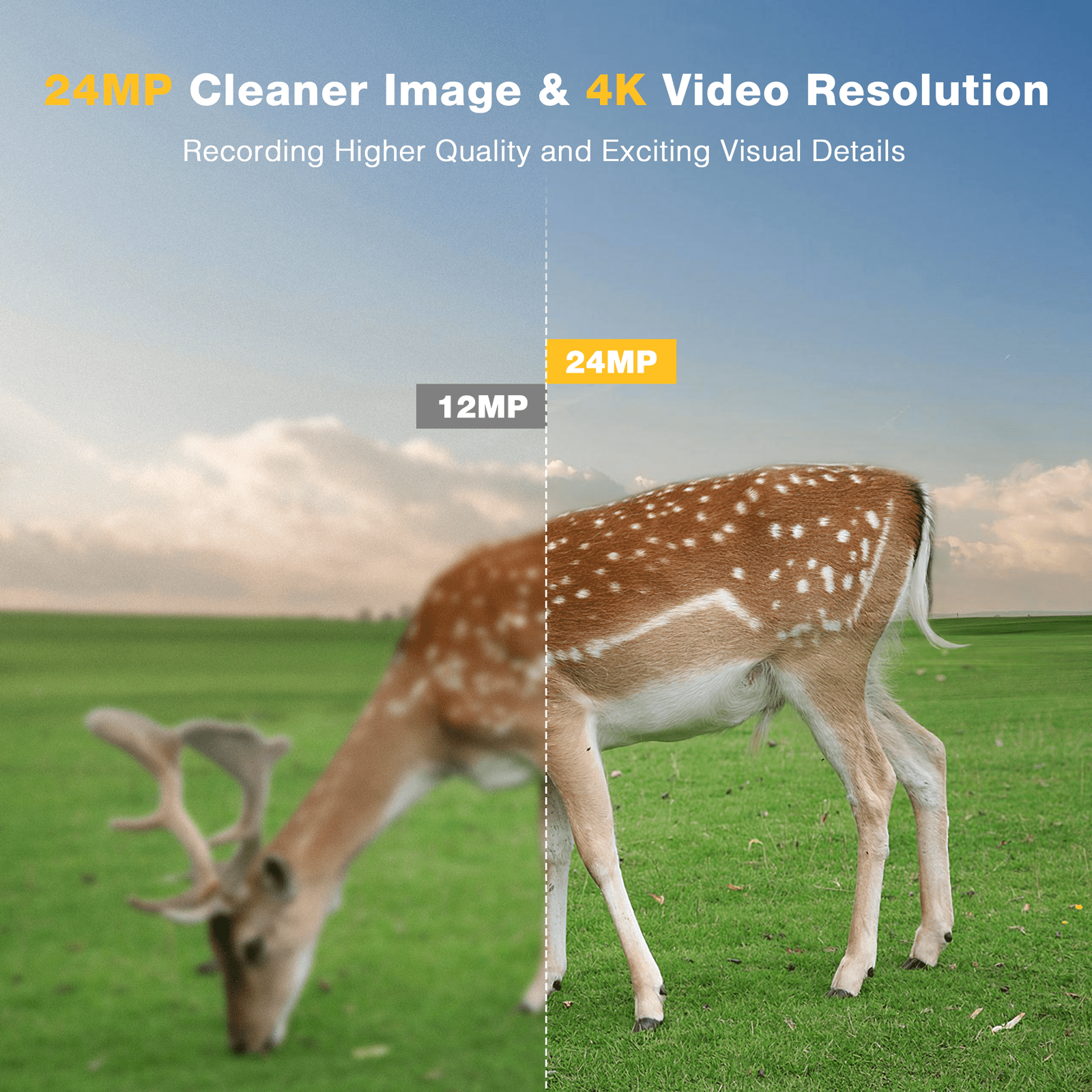CAMPARK Trail Camera WiFi 4K 24MP Game Hunting Camera with Night Vision Waterproof IP66