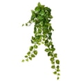 thumbnail image 1 of Vickerman Vickerman 34" Green Pothos Leaf Hanging Bush - FZ190734, 1 of 2