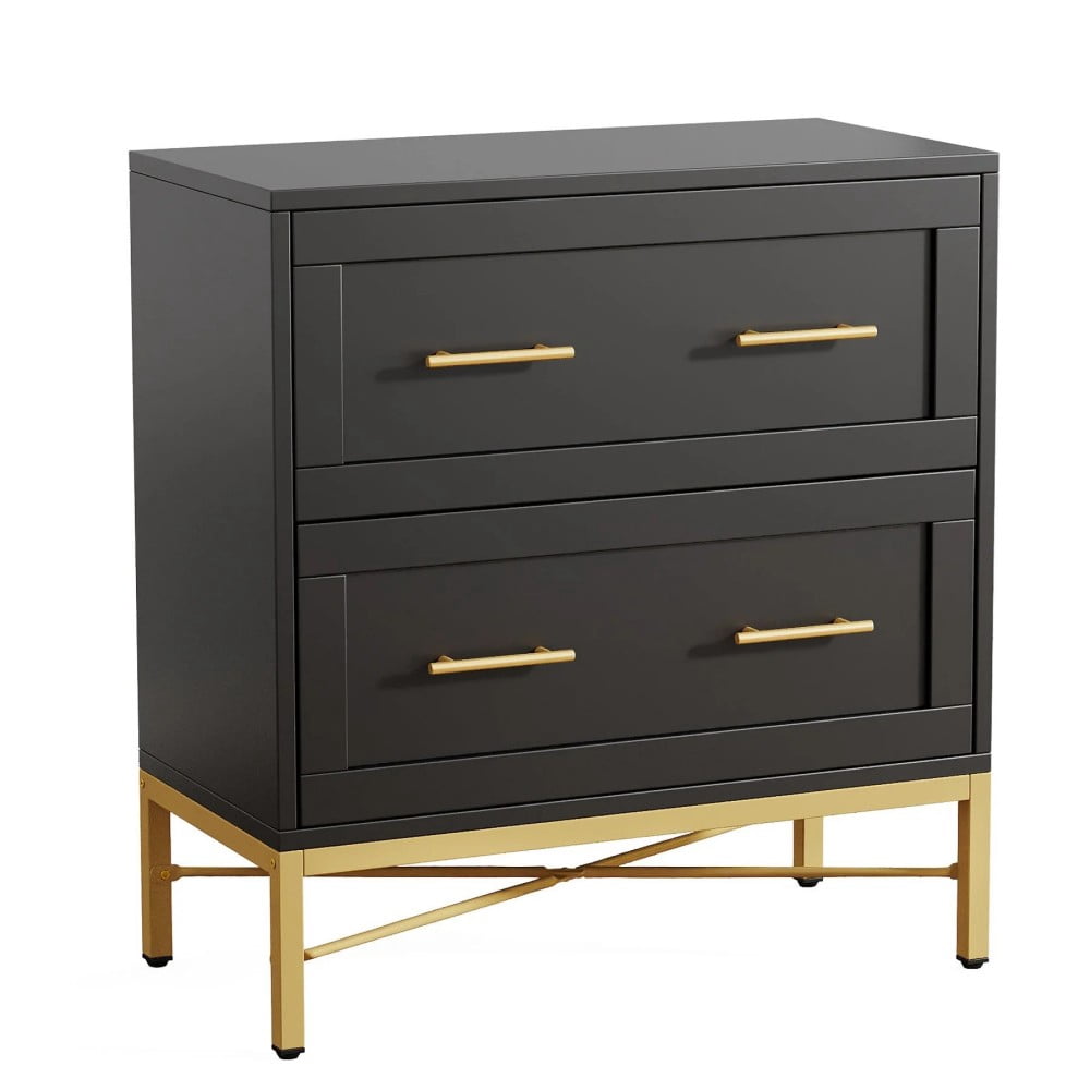 Canddidliike 2-Drawer File Cabinet, Lateral Storage Cabinet Printer Stand, Filing Cabinet for Indoor as Home, Black & Gold