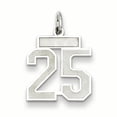 thumbnail image 1 of Collier Pendentif en Argent Sterling 925 Numéro 25 Breloques, 1 of 6