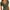 Army green, variant on Women Tops Crew Neck Shirts Short Sleeve Casual Ribbed Slim Fitted T Shirts for Summer