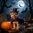 thumbnail image 5 of Aoznliie Dog Clothes, Halloween Pet Cloak with Hat for Party Apparel, 11x4 inch Adjustable Costume Set for Cats Dogs, Purple, 5 of 6