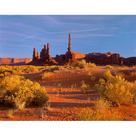 Totem Pole and Yei Bi Chei with sand dunes and shrubs Monument Valley Arizona and Utah border Poster Print by Tim