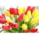 thumbnail image 3 of EeaseMX Tulipanes artificiales de tacto real, flores de tulipán de imitación para decoración de bodas, fiestas, balcones, patios y bares (rojo), 3 of 7