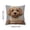 B, variant on 2 Pack 18x18 Inch Cute Sleeping Bunny Rabbits Throw Pillow Covers, Polyester Decorative Cushion Covers for Sofa Bedroom Living Room Spring Easter Home Decor