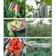 thumbnail image 5 of 4pcs Cucumber Mould Transparent Vegetable Fruit Planting Mould Growth Observation, 5 of 5