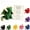 Green, variant on Emotional Support Dragon Pocket Buddy, Cute Plush Stuffed Animals with Encouragement Card, Hand-Stitched Dragon Comfort Figurine Anxiety Relief Desk Decor Gift for Students & Adults (Black)