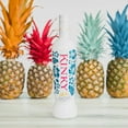 thumbnail image 2 of Kinky Aloha Liqueur, Vodka, 34 Proof, 750ml Glass Bottle, 25.4 fl oz, 2 of 7