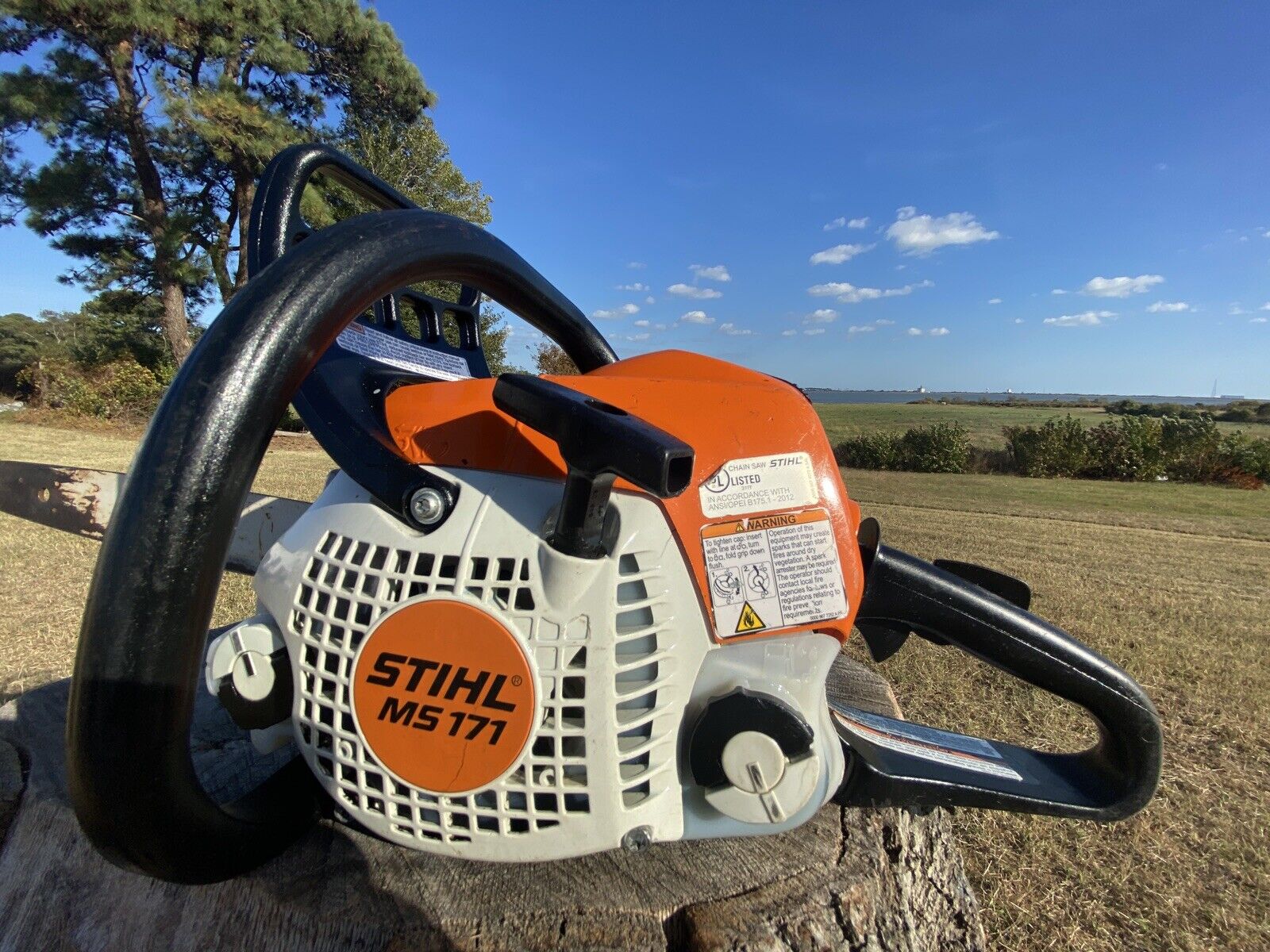 STIHL MS171 Chainsaw 16-inch Gas Powered Professional Mini BOSS - Lightweight Homeowner Chainsaw
