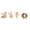 A#440803gg, variant on Craft Glue Ocean Shell DIY Handmade Kit, Marine Seashell Art Craft Set, Beach Theme Wooden Decoration Assembly Kit, Creative Glueing Project, Seaside Souvenir Making Kit
