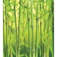 thumbnail image 3 of Ambesonne Green Duvet Cover Sets, Nature Scenery Close up Scene, 2-King, Apple Green, 3 of 7