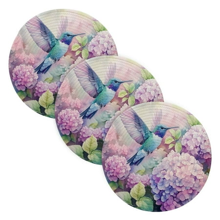 

WOBOGO Colorful Pretty Bird Coil Placemats 3pcs Resistant Hot Pads Mat for Table Counter Cooking Potholder 15in