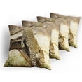 thumbnail image 5 of Ambesonne Exotic Throw Pillow Cover 4 Pack, Leopard Wild Cat on Tree, 20", Yellow Green Brown, 5 of 7