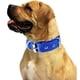 thumbnail image 3 of Collar de perro resistente con asa para perros medianos y grandes – Collar con puntadas reflectantes,, 3 of 5