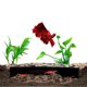 thumbnail image 4 of Shrimp Breeding Protector Aquarium Fish And Shrimp Evacuation House Shrimp Protection Device Shrimp Cave Small Fish Cave Aquarium Tank CaveFeatures: Quantity: 1pcMatter: PlasticColor:, 4 of 8