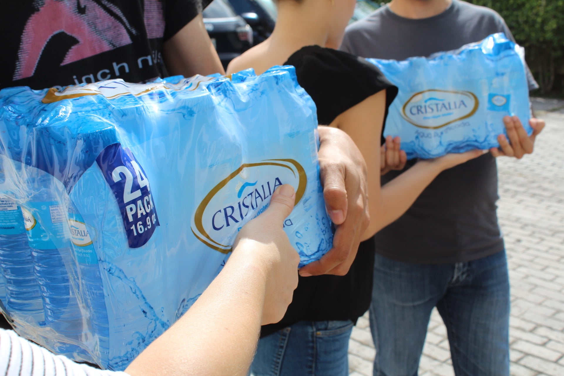 Cristalia Purified Bottled Water, 16.9 oz, 24-pack