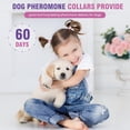 thumbnail image 2 of Tcllka Calming Collar for Dogs 4 Packs Dog Pheromone Calm Collars Relief Anxiety Stress Separation Lasts 60 Days, 2 of 7