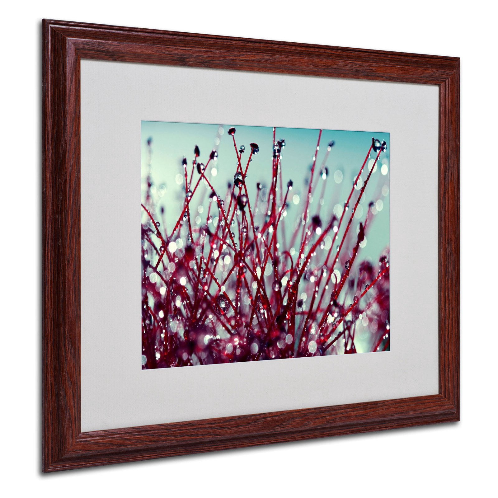 Trademark Fine Art "Morning Tunes" Framed Canvas Art by Beata Czyzowska Young