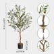 thumbnail image 2 of QinaQin Árbol de olivo artificial alto de 4/5/6 pies, planta de seda en maceta con tronco de madera y frutos realistas para decoración interior del hogar u oficina, 2 of 6