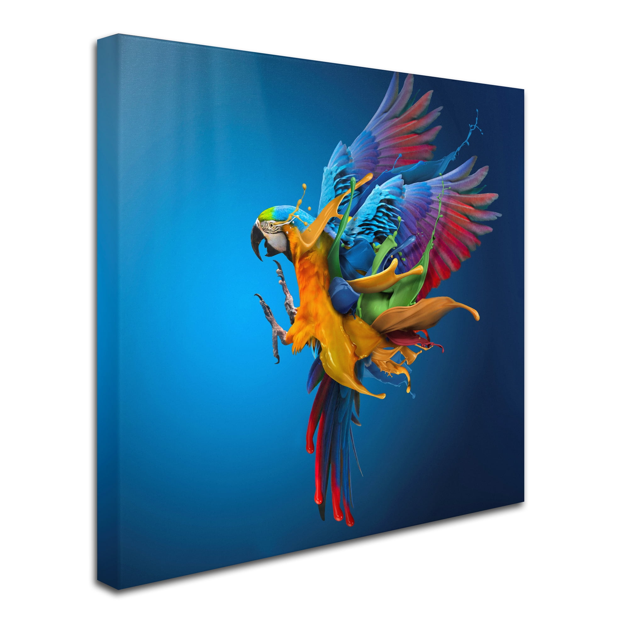 Trademark Fine Art 'Flying Colours' Canvas Art by Sulaiman Almawash