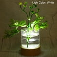 thumbnail image 4 of Uxcell Round Wooden 2.36" 3-Colors Light Dimmable Display Base Stand LED Light Wood, 4 of 7