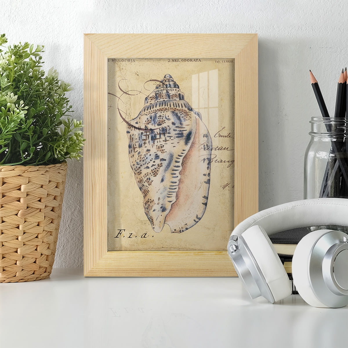 Seashell Ephemera I - Framed Print w/glass - Natural Wood