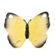 thumbnail image 2 of Juguete de dentición Oli & Carol Katia The Butterfly de caucho natural, 2 of 5