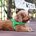 thumbnail image 6 of Plutus Pet No Pull Dog Harness with Breathable Mesh Padded, Adjustable Reflective Escape Proof Dog Harness, Quick Fit Dog Vest Harness for Small Medium Large Dogs(L, Green), 6 of 8