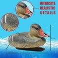 thumbnail image 2 of Galashield Duck Decoys for Hunting | Floating Duck Decoy for Pool, Pond & Lake, 2 of 8