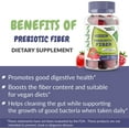 thumbnail image 6 of Health Supplied Fiber Prebiotic Gummies Sugar Free Keto Diet | Gut Cleansing, Digestive Support, Constipation Relief | Natural Berry Flavor, 6 of 8