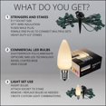 thumbnail image 5 of Wintergreen Lighting C9 Warm White OptiCore Smooth LED Christmas Pathway Light Kit, 25 Lights, 12" Spacing, Green Wire, 25 ft, 5 of 8