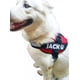 thumbnail image 2 of Arnes Para Perros Razas Grandes Personalizados Uso Rudo, 2 of 4